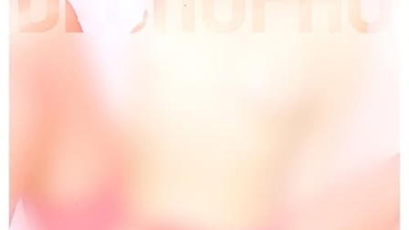 PorNO