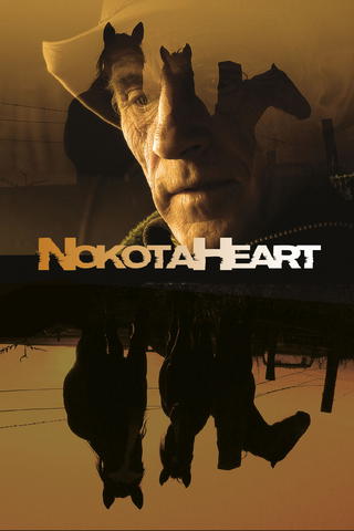 Nokota Heart
