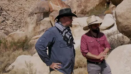 Shadows in the Desert: High Strangeness in the Borrego Triangle