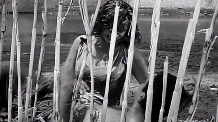 Struggle on the Nile