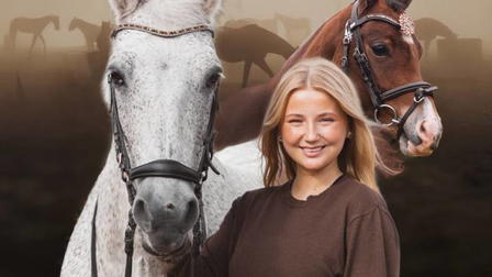 Hästdagboken (finska)