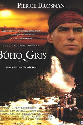 Búho Gris