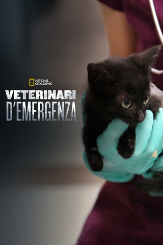 Veterinari d'emergenza