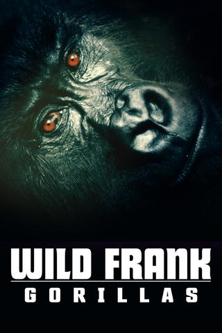 Wild Frank: Gorillas