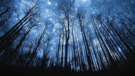 End Times: How Close Are We?