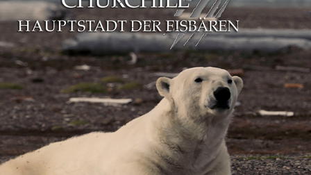 Deadly After Dark: Polar Bear Invasion