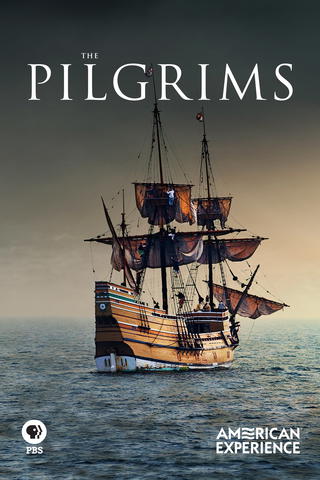 The Pilgrims