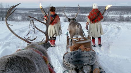 All Aboard! The Sleigh Ride