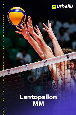 Lentopallon MM