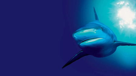 Blue Planet: A Natural History of the Oceans