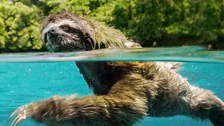 Earth: One Amazing Day