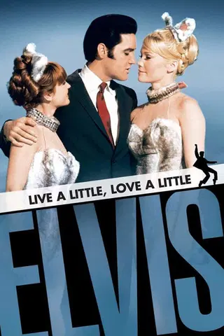 Live a Little, Love a Little