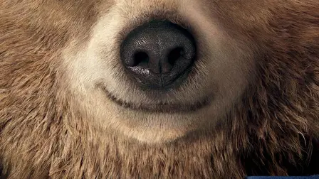 Paddington