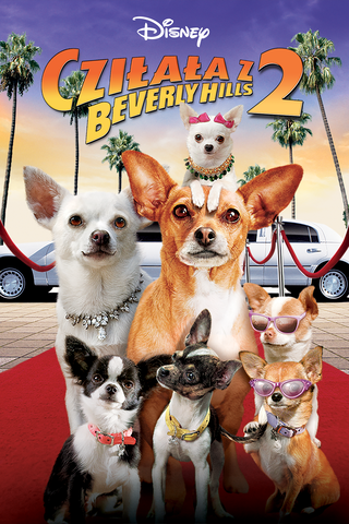 Cziłała z Beverly Hills 2