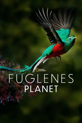 Fuglenes planet
