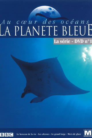Au cœur des océans - La Planète bleue