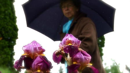 Griefwalker