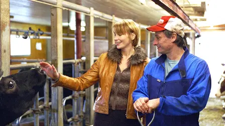 Naapurihaudan kaveri