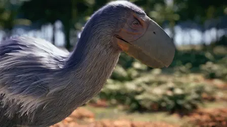 Dinosauruksista lintuihin