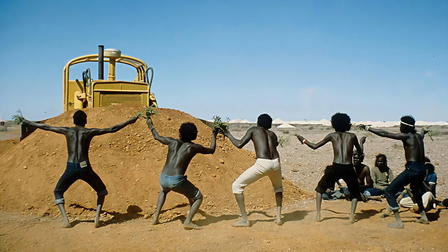 Wo die grünen Ameisen träumen