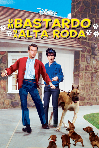 Um Bastardo na Alta Roda