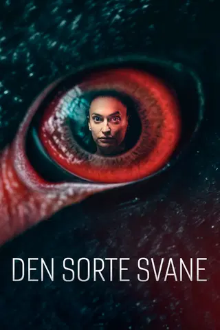 Brennpunkt: Den sorte svane