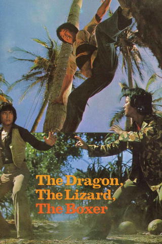 The Dragon, the Lizard and the Boxer