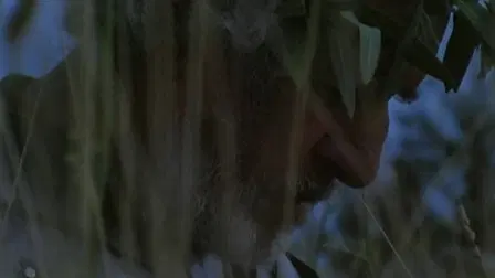 Honour of the Knights