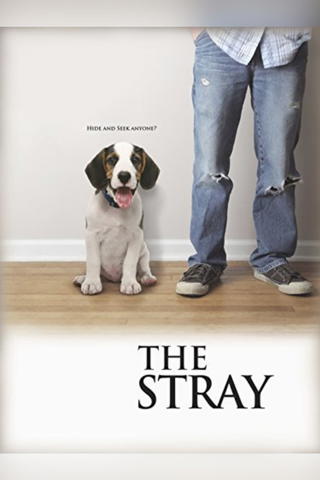 The Stray