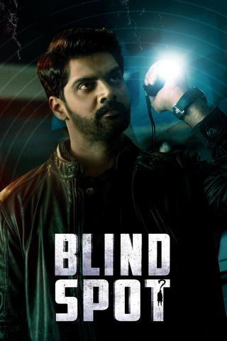 Blind Spot (2025 film)