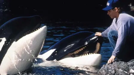 Free Willy - Pelastakaa Willy 2