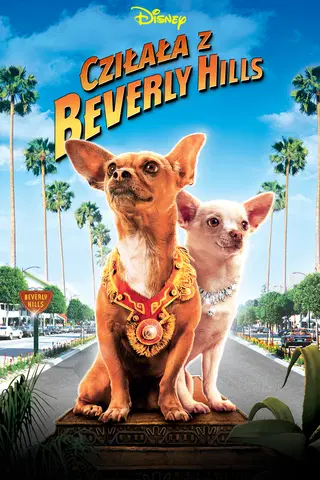 Cziłała z Beverly Hills