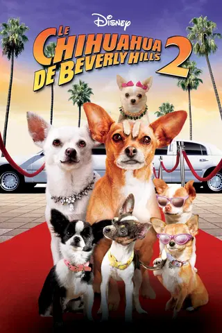 Le Chihuahua de Beverly Hills 2