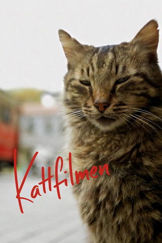 Kedi