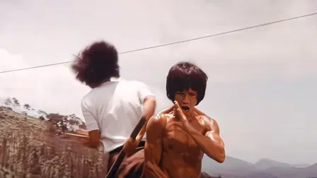 Dragon Bruce Lee, Part II