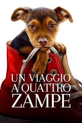 Un Viaggio a Quattro Zampe