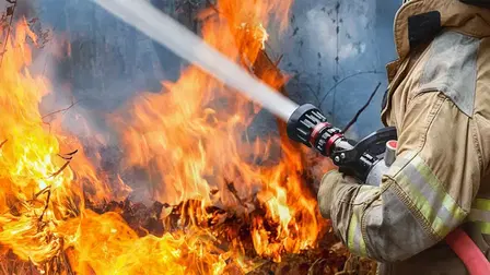 Into the Fire