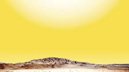 The Oasis