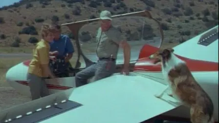 Lassie and the Flight of the Cougar