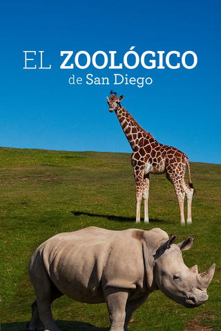 The Zoo: San Diego