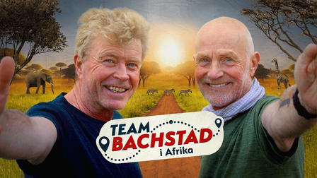 Team Bachstad