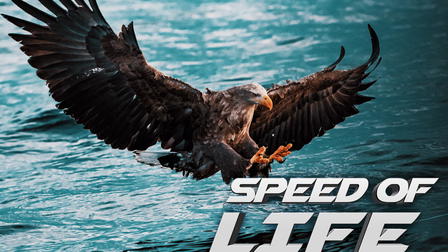 Speed of Life