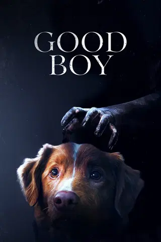 Good Boy