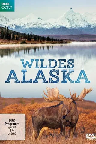 Wildes Alaska