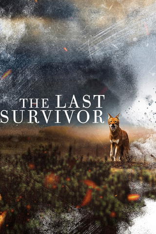 The Last Survivor