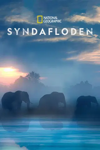 Syndafloden