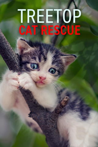 Treetop Cat Rescue