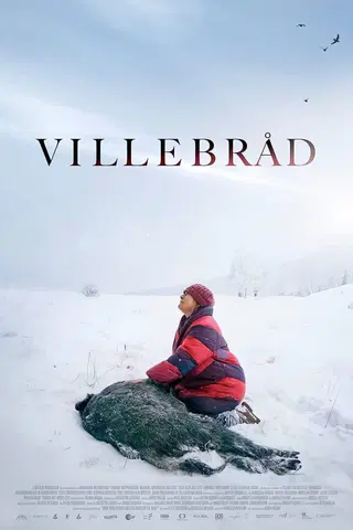 Villebråd