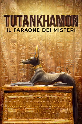 King Tut: A Century of Secrets