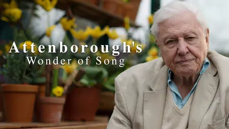 Maravillas sonoras con David Attenborough